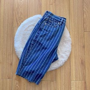 AE Raw Hem Denim Cutoffs